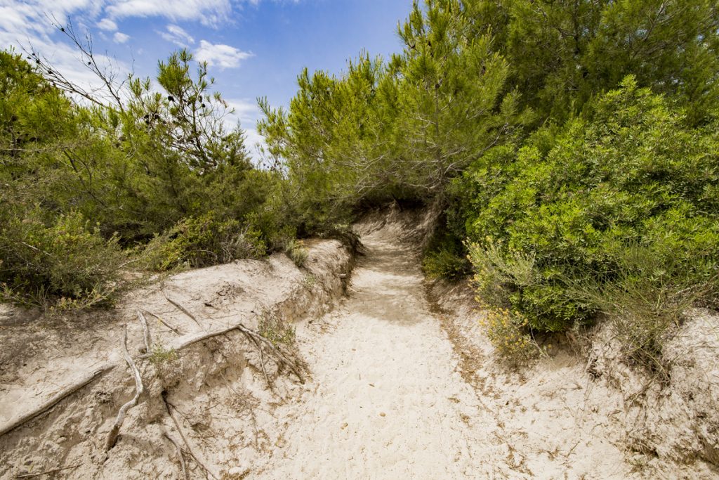 Platja es Trenc - Der längste Naturstrand der Insel im Süden von Mallorca