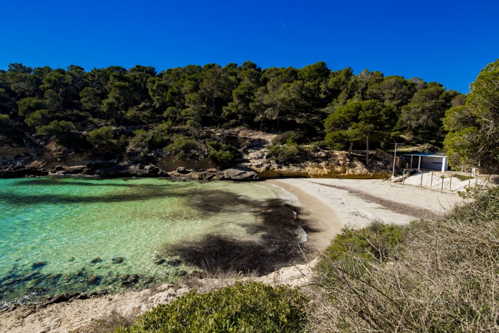 Playa El Mago - Cala de Portals Vells II im Südwesten Mallorcas
