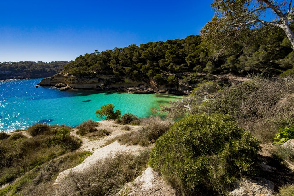 Playa El Mago - Cala de Portals Vells II im Südwesten Mallorcas