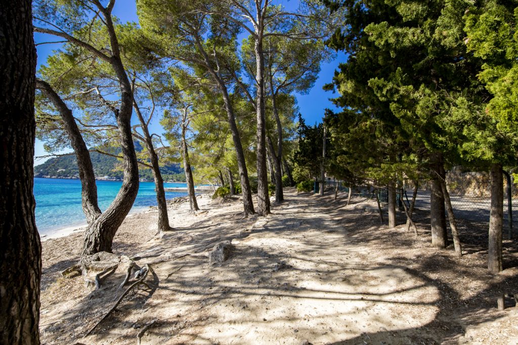 Playa de Formentor - Sandstrand in der Bucht von Pollenca