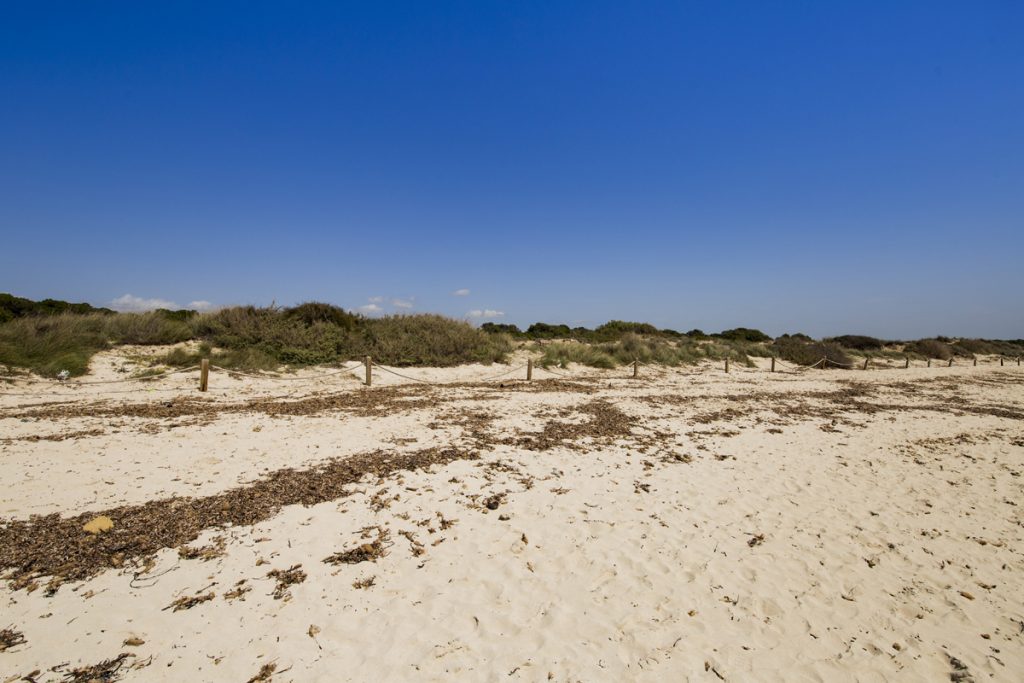 Playa de Sa Rapita - Attraktivster Sandstrand im Süden von Mallorca