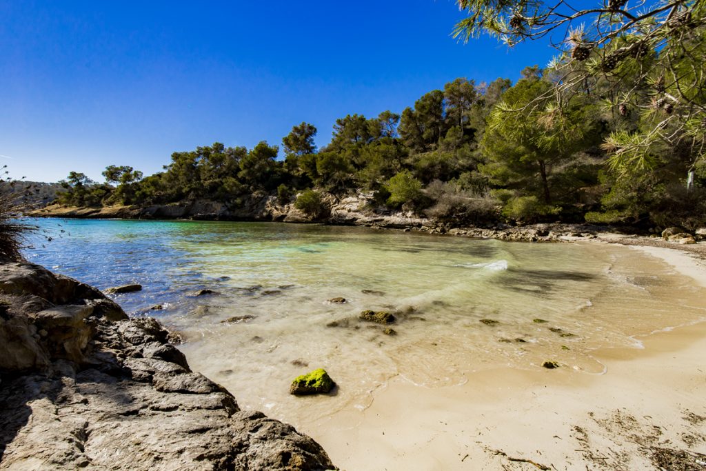 Playa del Rei - auch Platja de Portals Vells III genannt im Südwesten Mallorcas