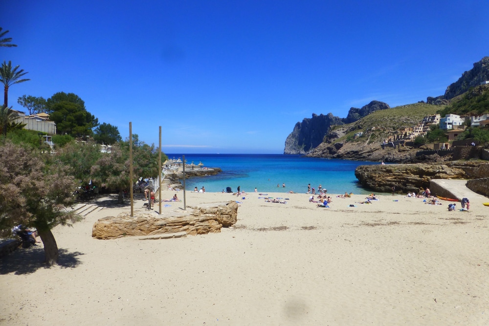 Strand Cala Clara - Weißer Sandstrand am Ferienort Cala Sant Vicente im Norden Mallorcas