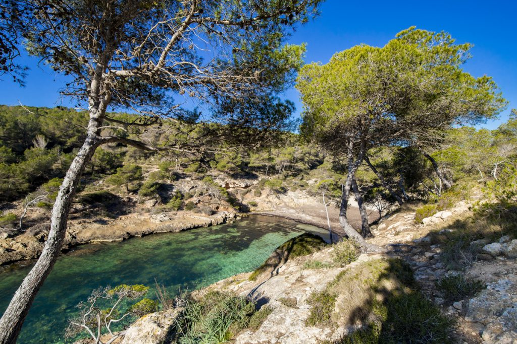 Strand Cala Falco - Kleine versteckte Bucht im Südwesten Mallorcas
