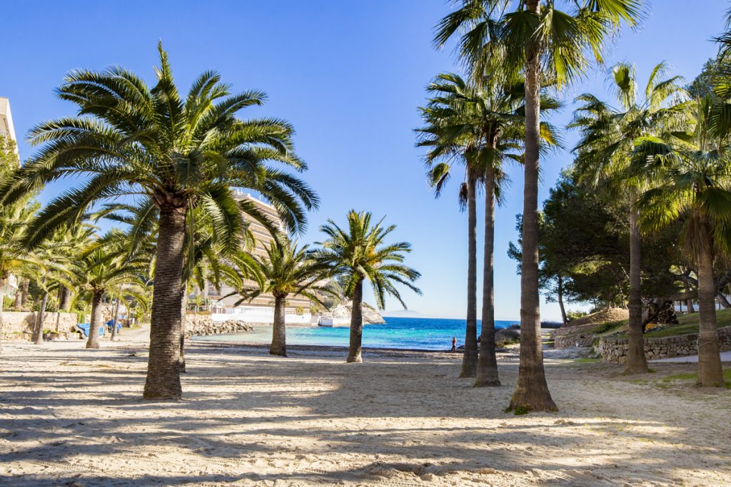 Strand Cala Vinyes - Kleiner Strand im Südwesten Mallorcas