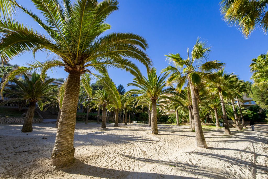 Strand Cala Vinyes - Kleiner Strand im Südwesten Mallorcas