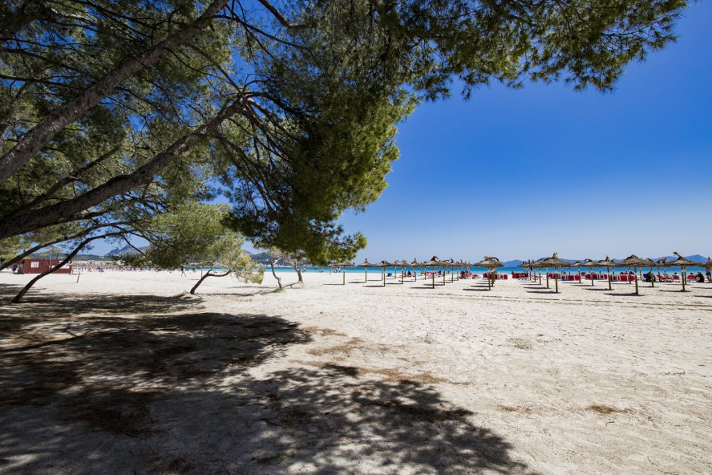 Strand Playa de Alcudia - Einer der größten Strände Mallorcas