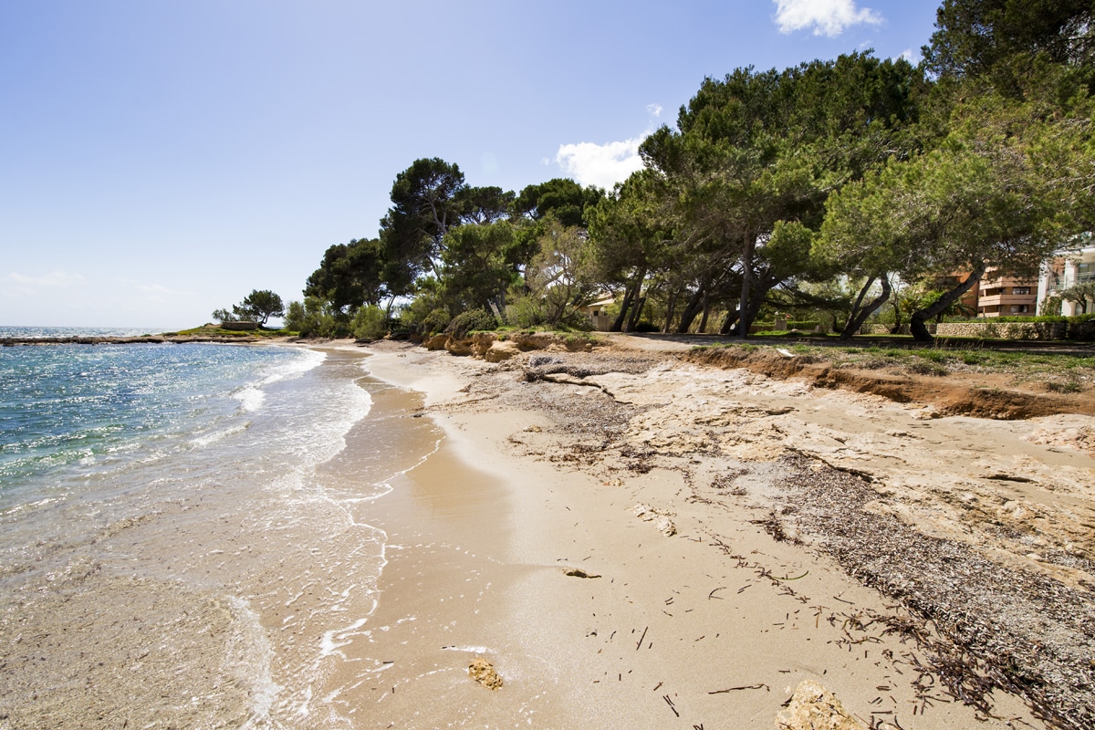 Strand Port Vell - Ruhiger Naturstrand im Osten Mallorcas