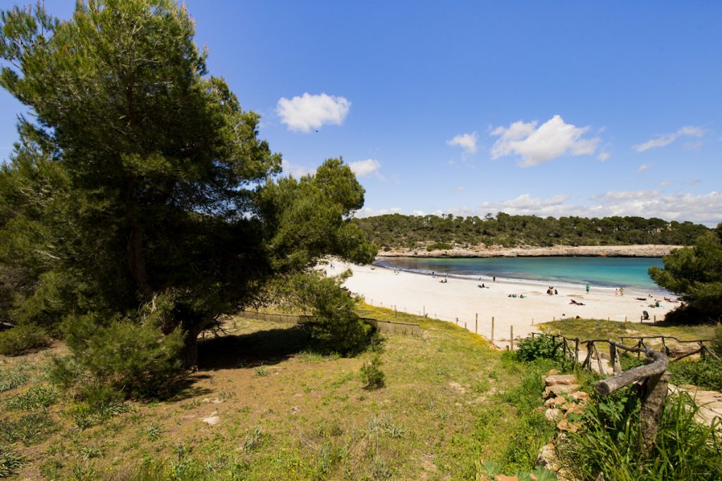 Strand S'Amarador - Der größte Strand der Bucht Cala Mondragó im Südosten Mallorcas
