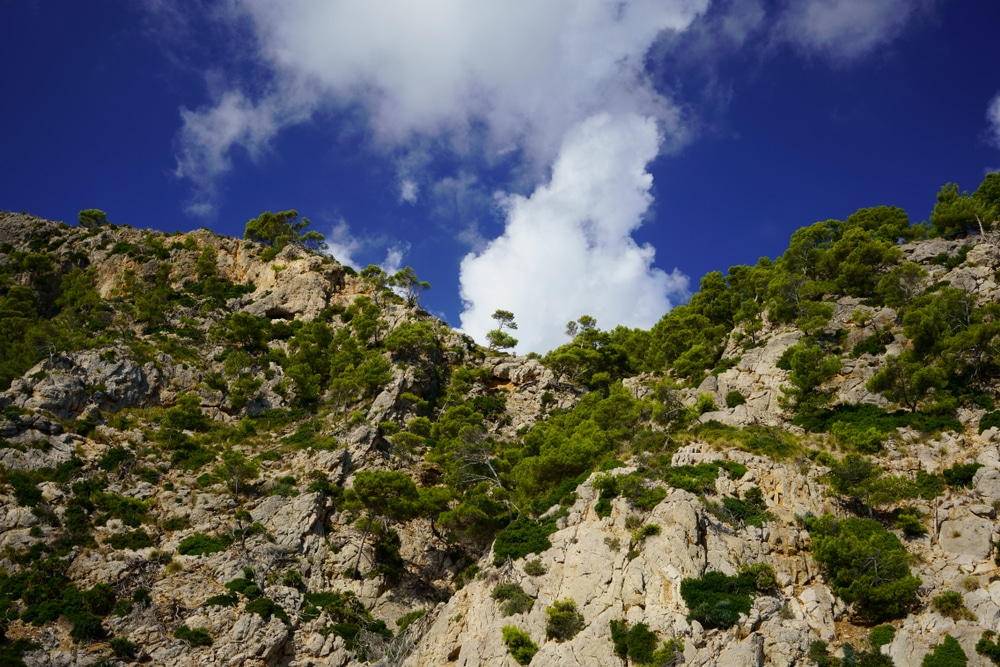  Costa dels Pins erstreckt sich am Fuße einer eindrucksvollen Berglandschaft, die gesamte Gegend ist mit Pinien, Tamarisken und Wacholder bewachsen ist